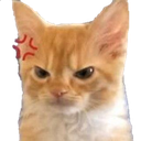 2gatoenojao Discord emoji
