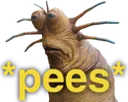 HG_Pees