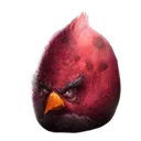 angrybird angrybird