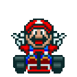 mariokartwin