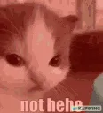 da_hehe_nothehe