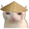 ChineseCat ChineseCat