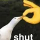 l_shutit
