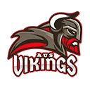 vikings vikings