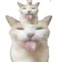 Cats cats Discord Emoji