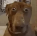 whaT