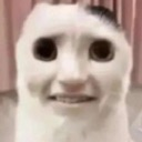 catwagruhmbus Discord emoji