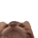 Tasty