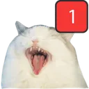 gepingterwaikikikadser