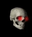 skullspin