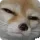 susfox