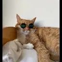 Chillcat chillcat Discord Emoji