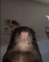 6eownl