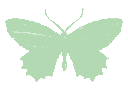 butterfly_green
