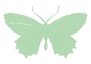 butterfly_green