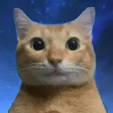 NicePortrait