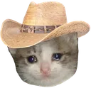 sad_yeehaw