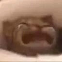 Screenshot20230418002727