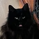 emoji_73