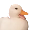 happyduck