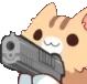 catgun