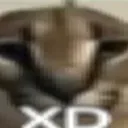 XDnt