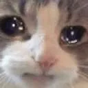 cri
