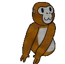 dancemonke dancemonke