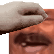 kekpet Discord emoji