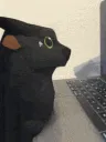 Moon_stare Moon_stare