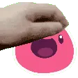 petpinkslime