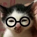 Nerdcat Discord Emoji