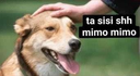 tasisishhmimomimo Discord emoji