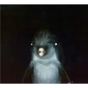 5594e824d0284ea9a60eace509996620