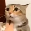 6aec62f48ab84be5a2b612d46a76636d