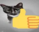 catthumbsup catthumbsup