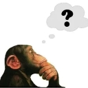 monkeyponder monkeyponder