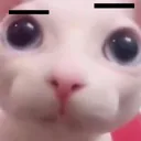 DafaqYouDoin