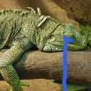 sadiggy Discord Emoji