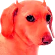 BitFruity