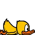 duckSlug