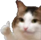 ThumbsUpCat