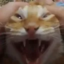 AHHHHHHHHHH