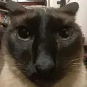 ahwemhwem