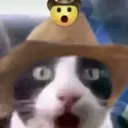 wellIsay