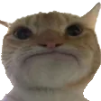 hmph
