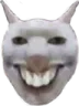 Catgrin catGrin Discord Emoji