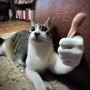 catThumb catThumb