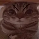 Angerbany Angerbany