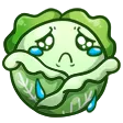cabbagecrai